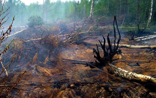 В Черниговской области спасатели продолжают тушить тлеющие торфяники