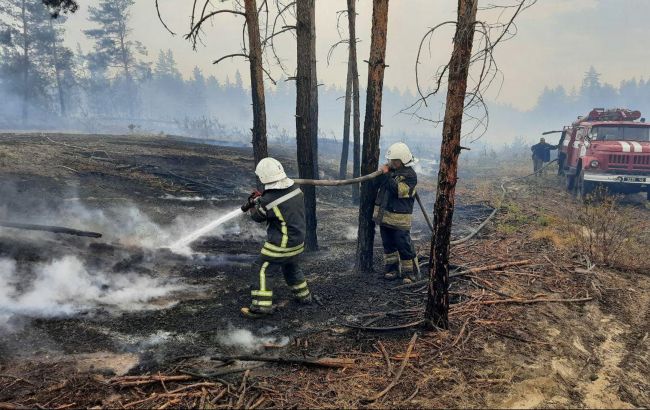 Рятувальники ліквідували один із осередків пожеж в Луганській області