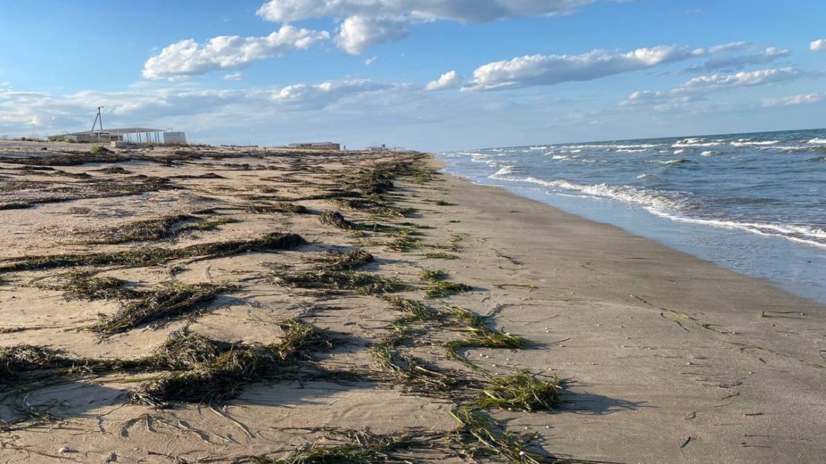 Фильмы про летний отпуск: смотреть онлайн