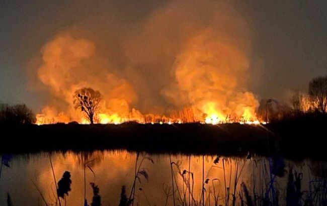 Поліція Києва відкрила кримінальне провадження щодо пожежі пожежі на Осокорках