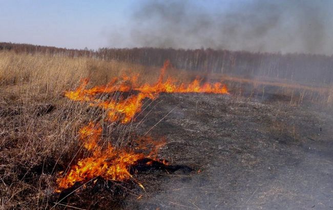 Кабмін пропонує дозволити пожежникам штрафувати українців за спалювання трави