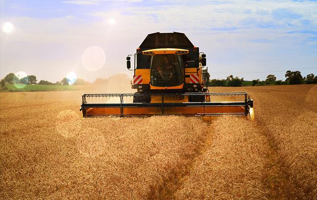 Ukrlandfarming отчиталась о результатах жатвы ранних зерновых культур