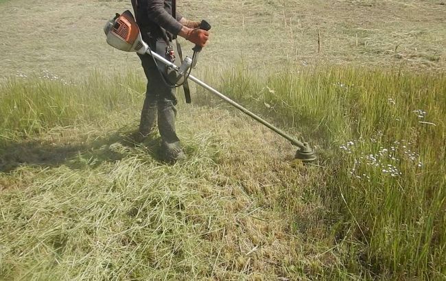 У Києві вирішили оригінально прибрати скошену траву: довелося викликати рятувальників