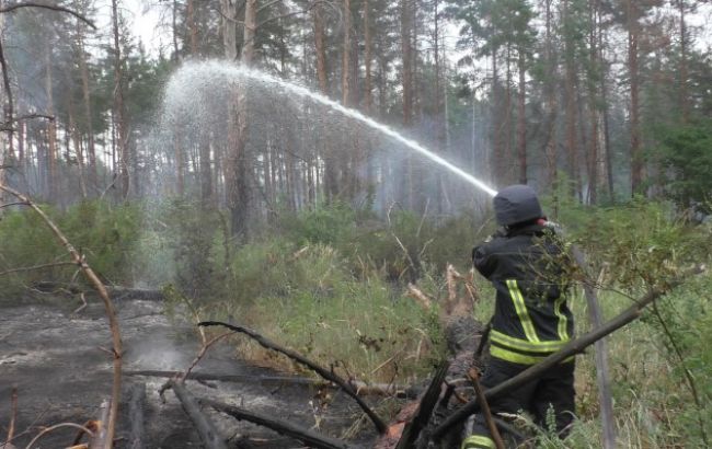 Пожежа в замінованому лісі в Луганській області ліквідована