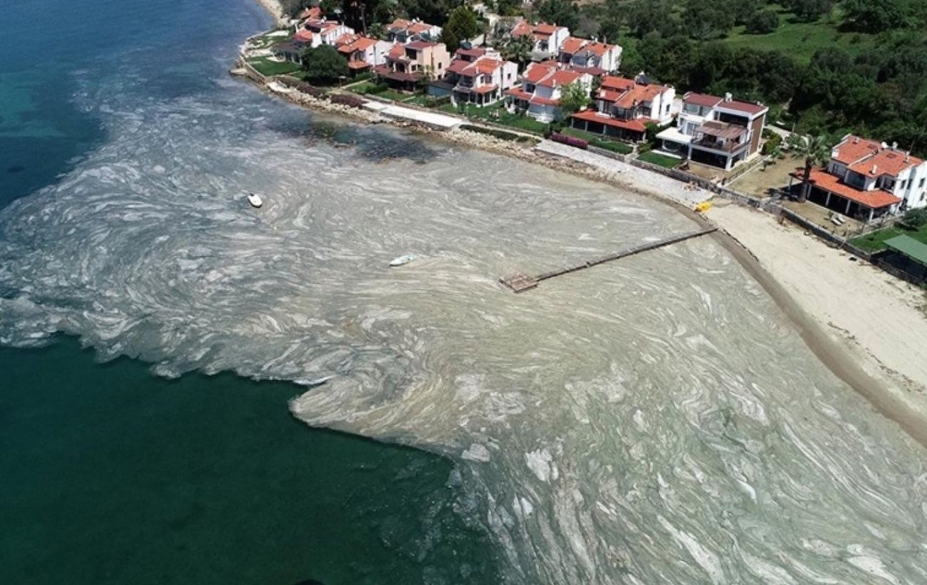 Sea of ​​Marmara covered with slime in Turkey – what is known