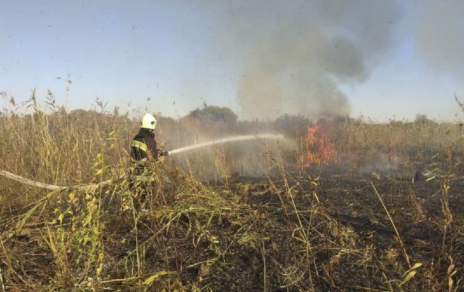 Пожежу в Луганській області локалізували