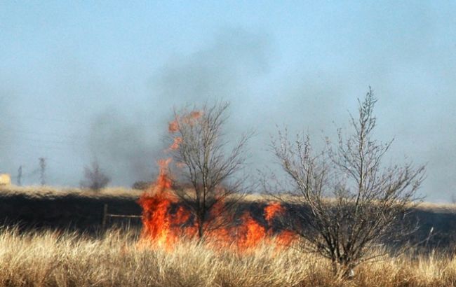 З початку року вогонь знищив майже 18 тис. гектарів екосистем, - ДСНС