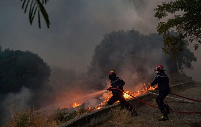 Крупнейшие лесные пожары в истории ЕС: в Греции арестовали 79 человек из-за поджогов