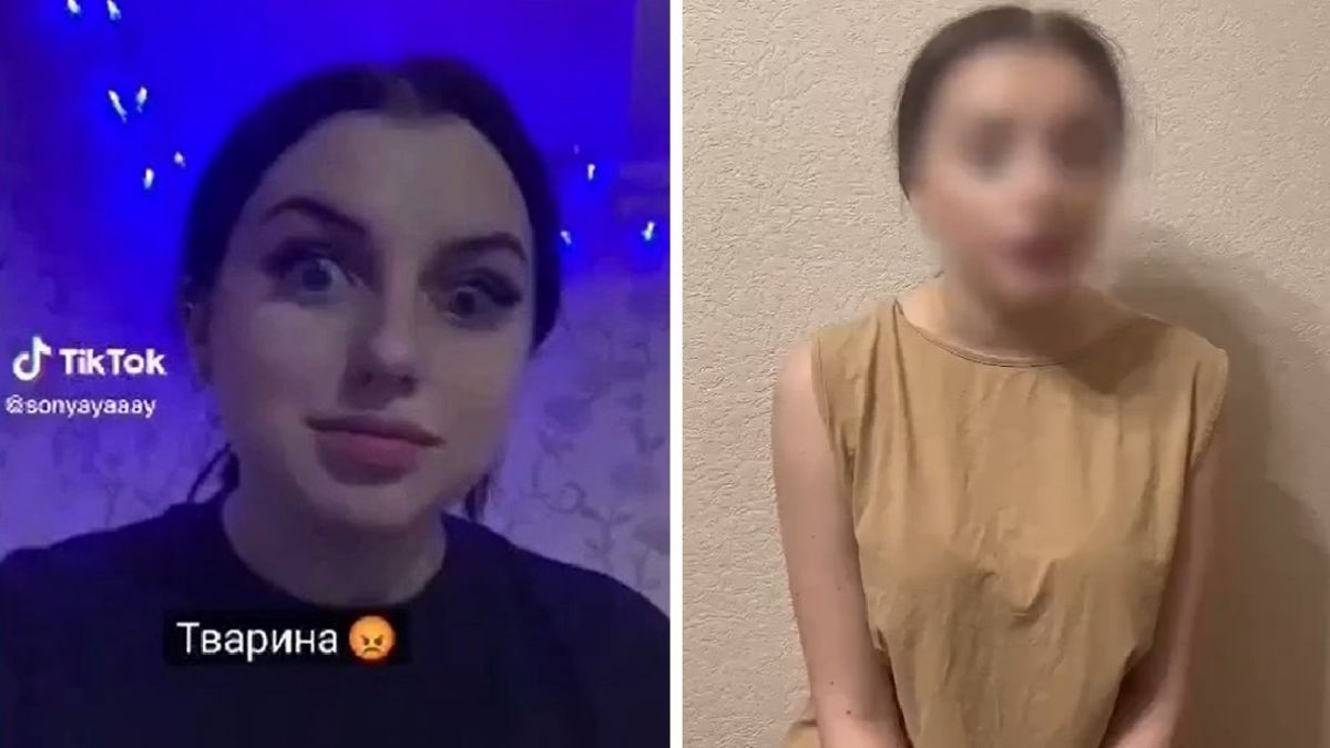 Блогерша в TikTok извиняется за оскорбительную для ВСУ песню - видео |  Новости РБК Украина