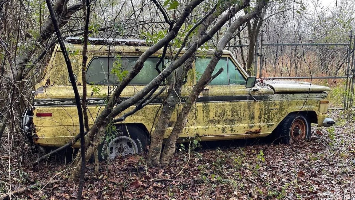 Классические автомобили ржавеют в лесу - в США найден заброшенный автосалон  | РБК-Україна