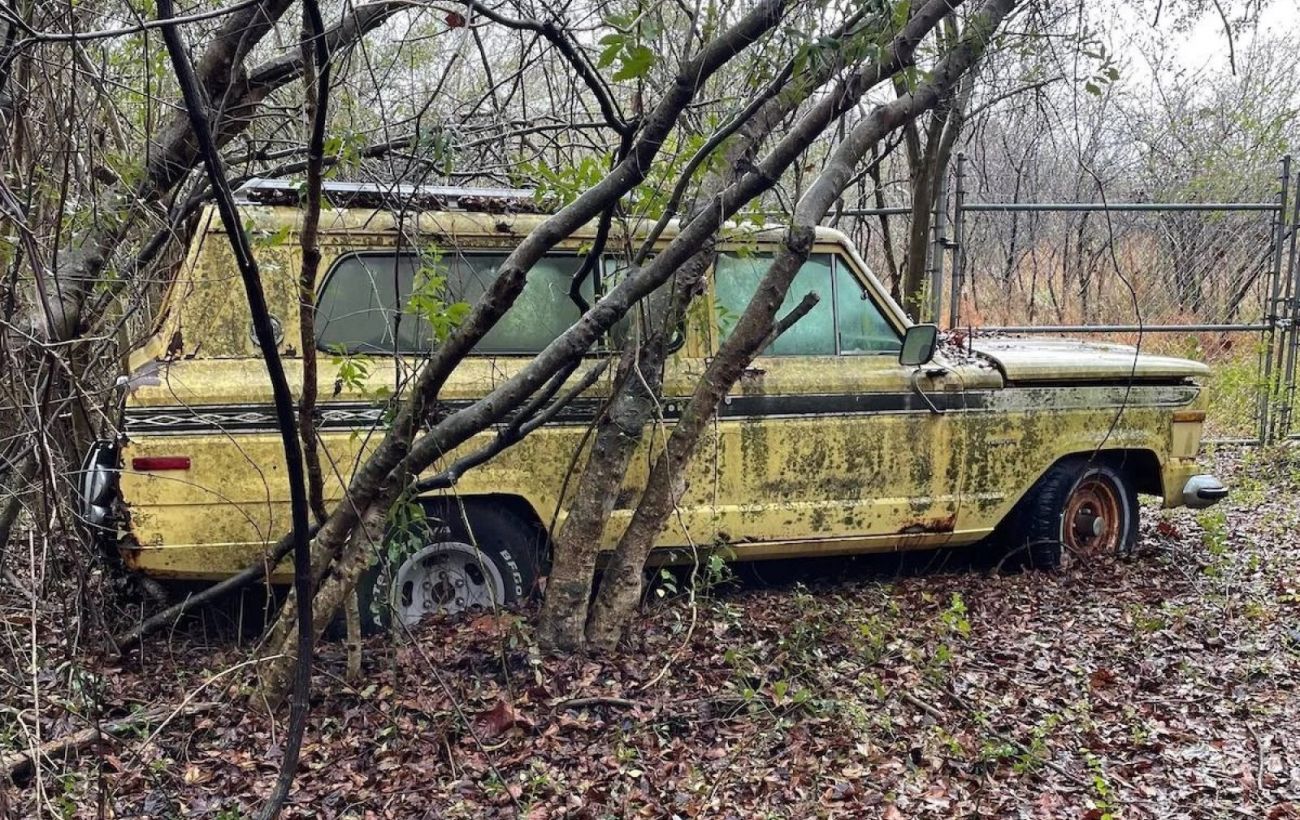 Классические автомобили ржавеют в лесу - в США найден заброшенный автосалон  | РБК-Україна