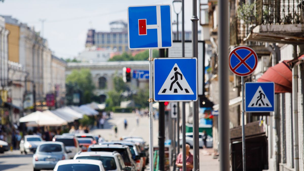 Водитель перевел через дорогу незрячую женщину в Виннице | Стайлер