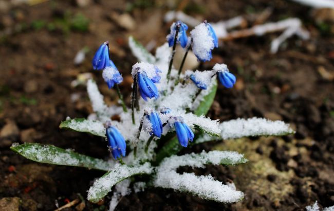 В Украину идет очень ранняя весна? Синоптики дали новый прогноз