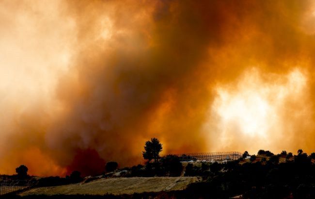 У Туреччині затримали підозрюваного в підпалах лісів на півдні країни