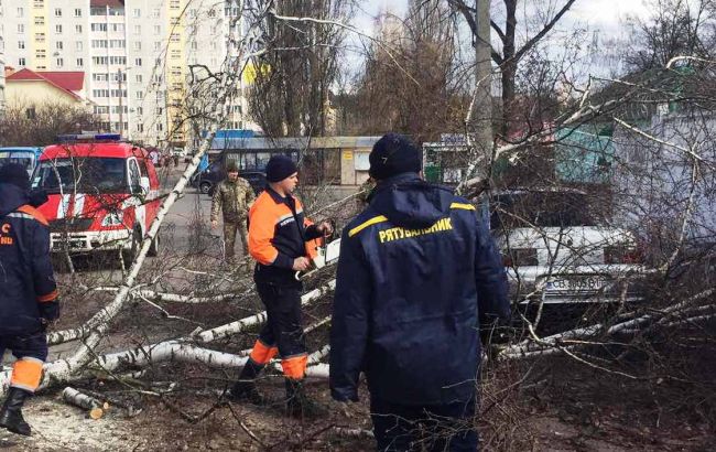 Непогода оставила без света жителей 13 районов Черниговской области